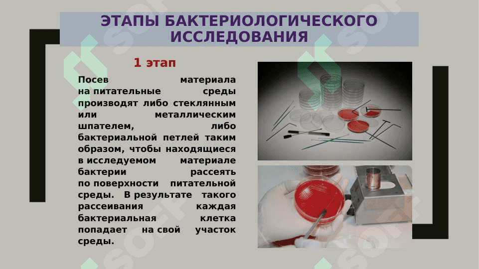 ОПРЕДЕЛЕНИЕ БАКТЕРИАЛЬНОЙ ЗАГРЯЗНЕННОСТИ БИОЛОГИЧЕСКОГО МАТЕРИАЛА БИОХИМЕЧИСКИМИ МЕТОДАМИ 5