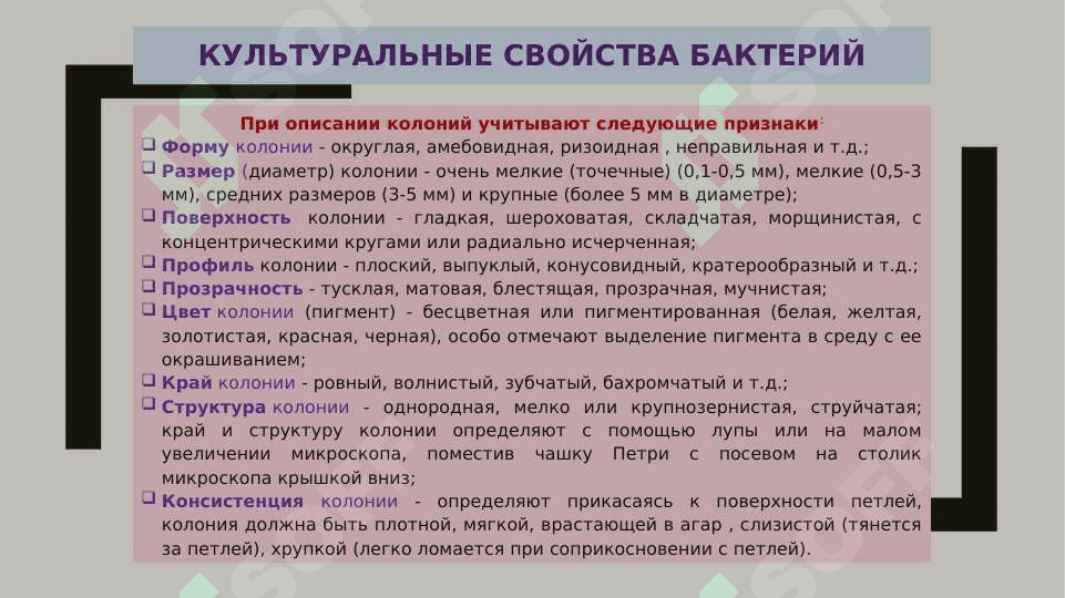 ОПРЕДЕЛЕНИЕ БАКТЕРИАЛЬНОЙ ЗАГРЯЗНЕННОСТИ БИОЛОГИЧЕСКОГО МАТЕРИАЛА БИОХИМЕЧИСКИМИ МЕТОДАМИ 7
