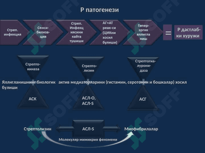Юрак нуқсонларининг ревматизм  инфексион эндокардит ва аорта атеросклерози касалликларида ривожланиш сабаблари ЭКГ ва рентгенологик текширувдаги белгилари ва даволаш усуллари 5