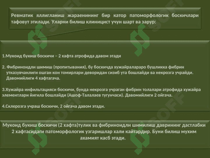 Юрак нуқсонларининг ревматизм  инфексион эндокардит ва аорта атеросклерози касалликларида ривожланиш сабаблари ЭКГ ва рентгенологик текширувдаги белгилари ва даволаш усуллари 6