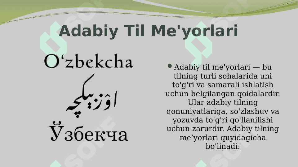 Adabiy til meʼyorlari 3