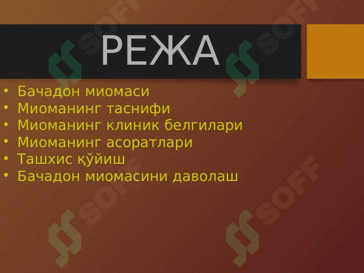 БАЧАДОН МИОМАСИ 3