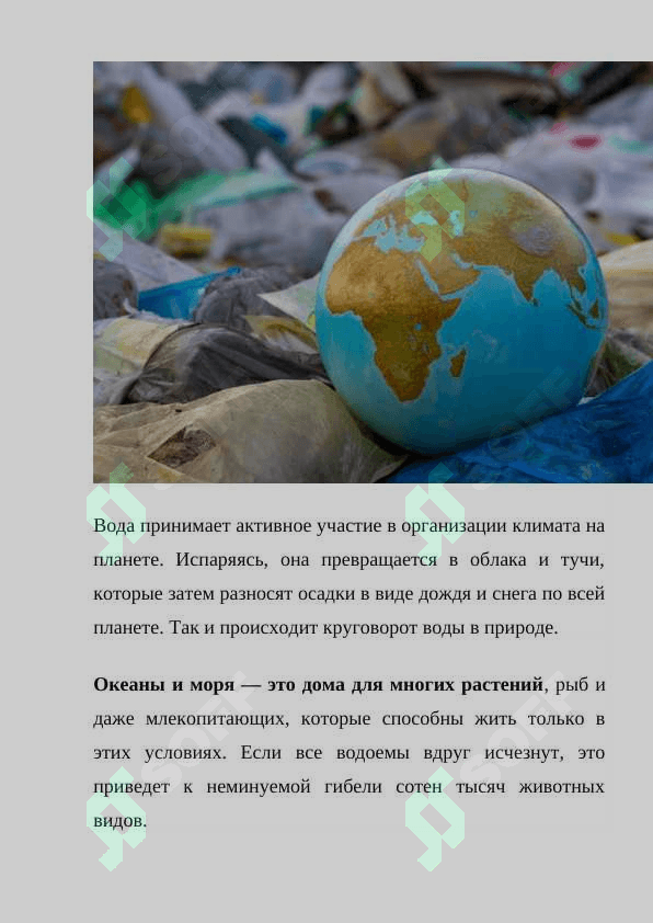 ЗЕМЛЯ НАШ ОБЩИЙ ДОМ 4