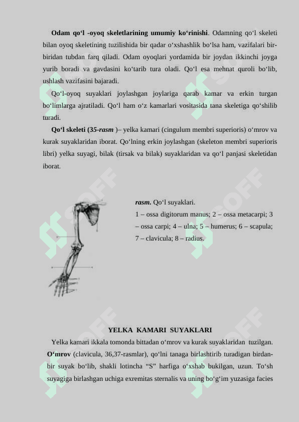Qo‘l-oyoq suyaklari 2