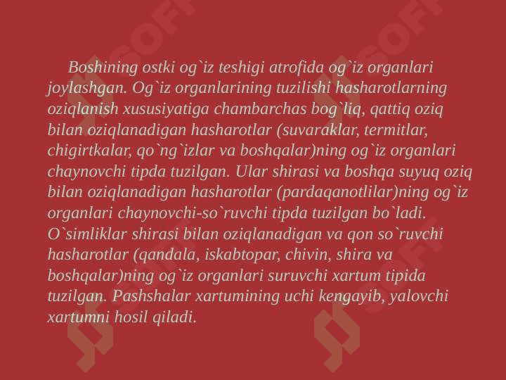 HASHOROTLAR BIOLOGIYASI 5