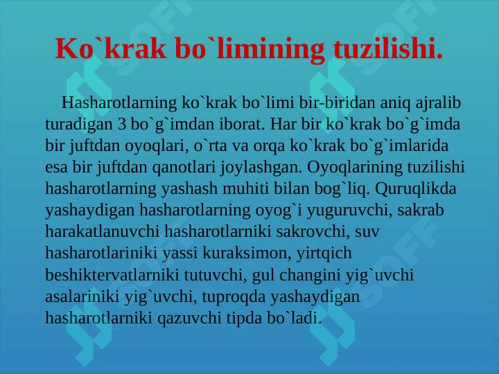 HASHOROTLAR BIOLOGIYASI 7