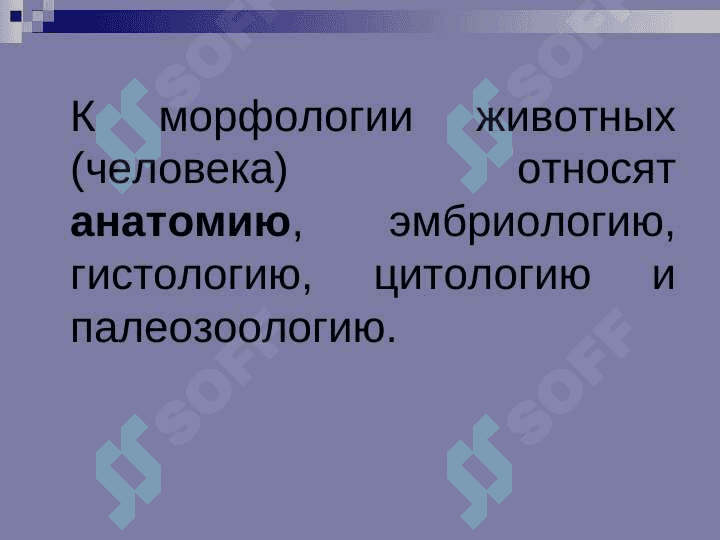ВВЕДЕНИЕ В АНАТОМИЮ 6