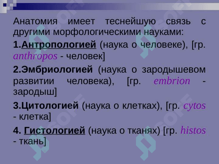 ВВЕДЕНИЕ В АНАТОМИЮ 8