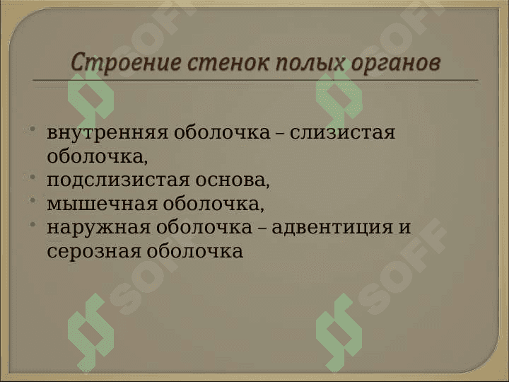 Спланхнология 5