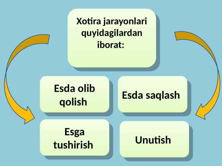 Xotira (TAQDIMOT)