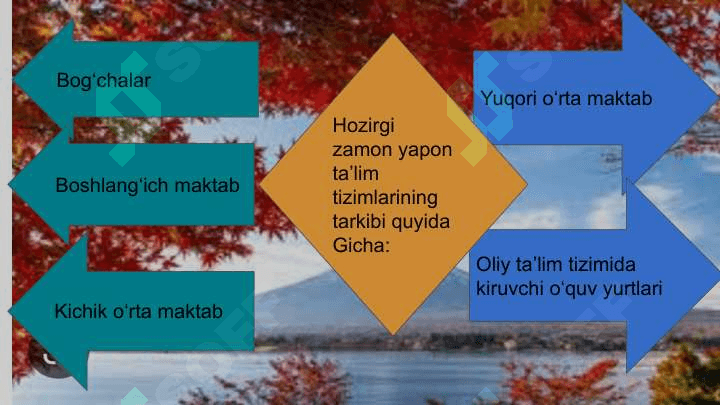 Rivojlangan davlatla taʼlim tizimi 6