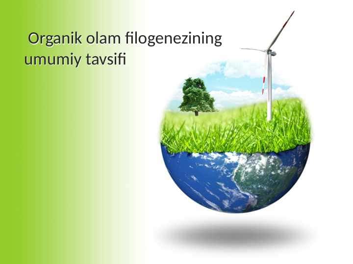 Organik olam filogenezining umumiy tavsifi