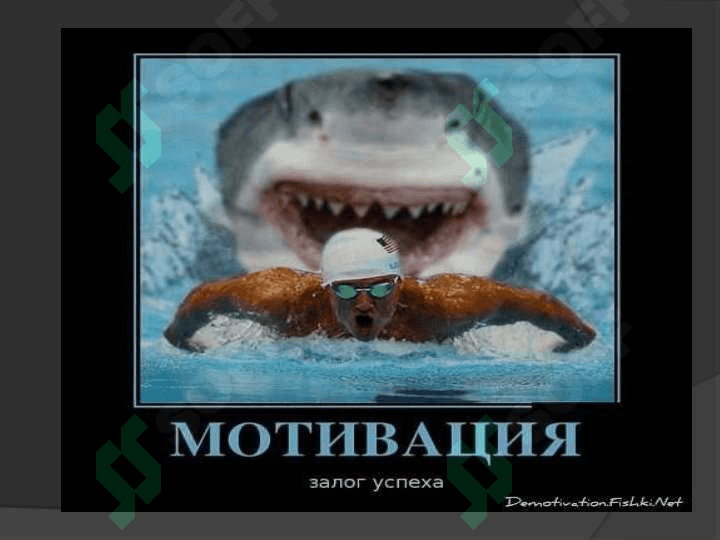 kasbiy motivatsiya 3