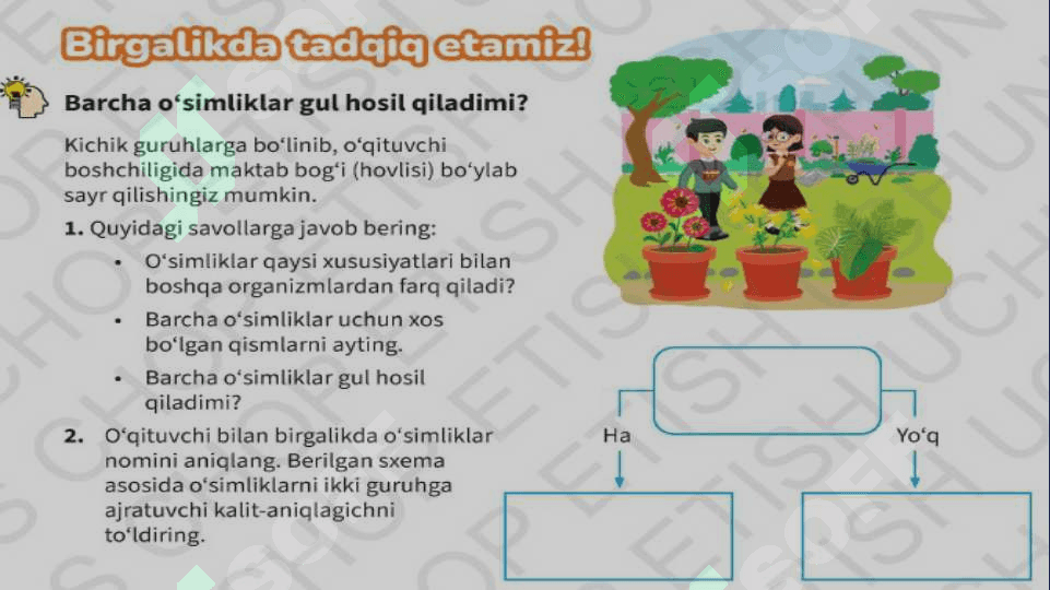 Gul 2