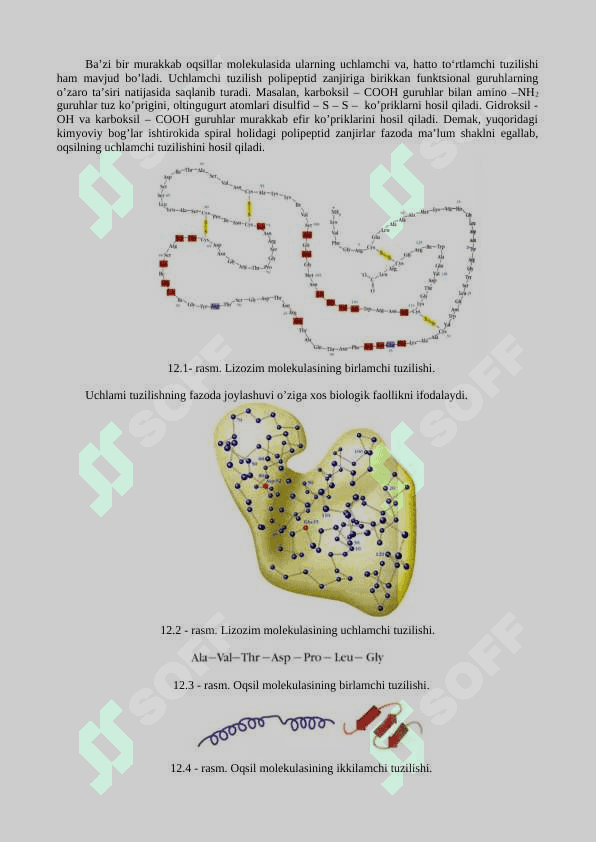 Oqsillar. Fermentlar. Vitaminlar. Uglevodlarni o‘rganish 5