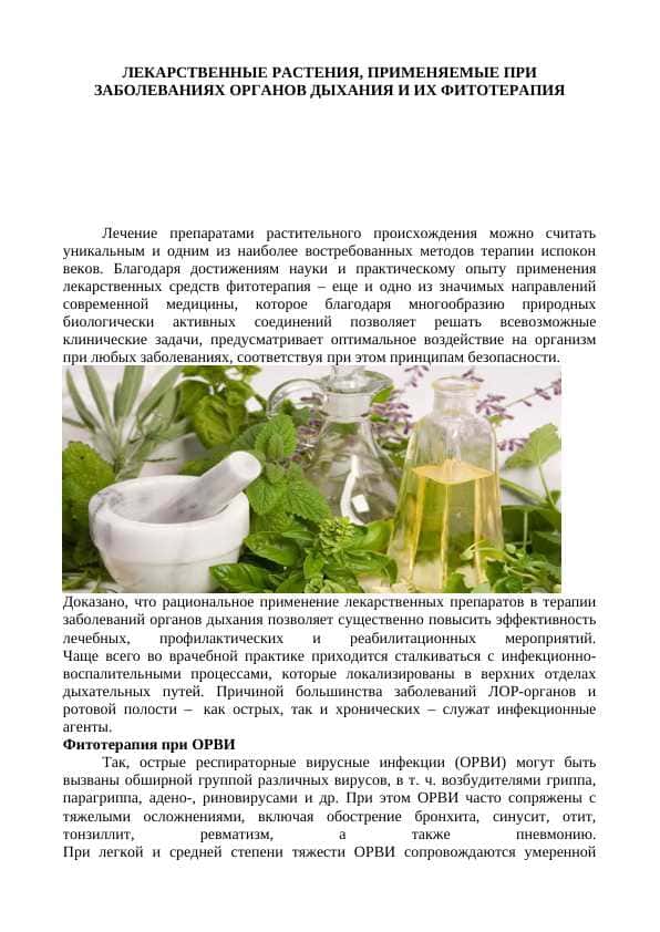ЛЕКАРСТВЕННЫЕ РАСТЕНИЯ, ПРИМЕНЯЕМЫЕ ПРИ ЗАБОЛЕВАНИЯХ ОРГАНОВ ДЫХАНИЯ И ИХ ФИТОТЕРАПИЯ