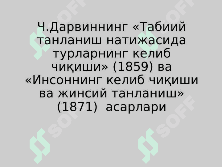 ИНСОН ФАЛСАФАСИ 7