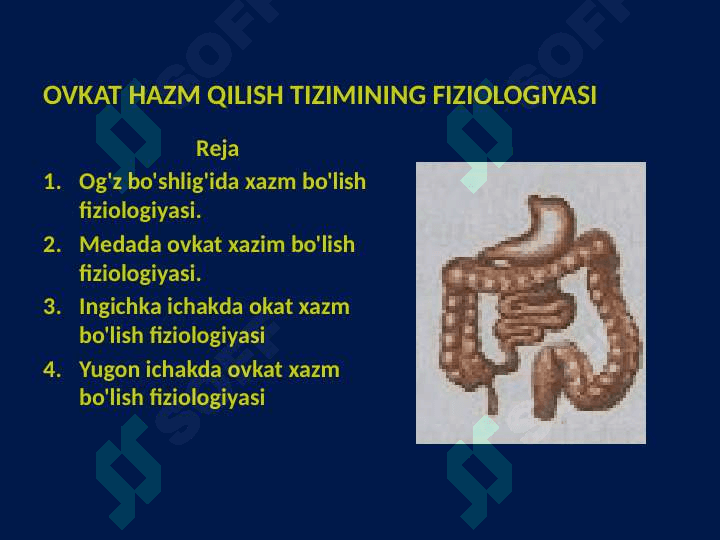 OVQAT HAZM QILISH TIZIMINING FIZIOLOGIYASI 2