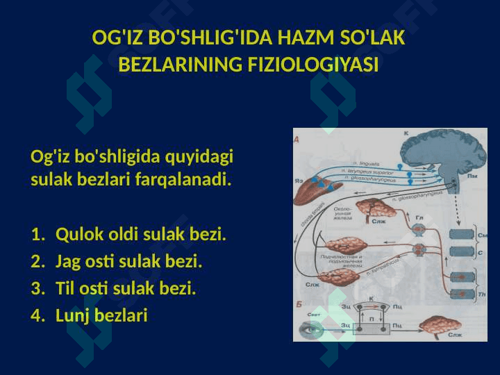 OVQAT HAZM QILISH TIZIMINING FIZIOLOGIYASI 5