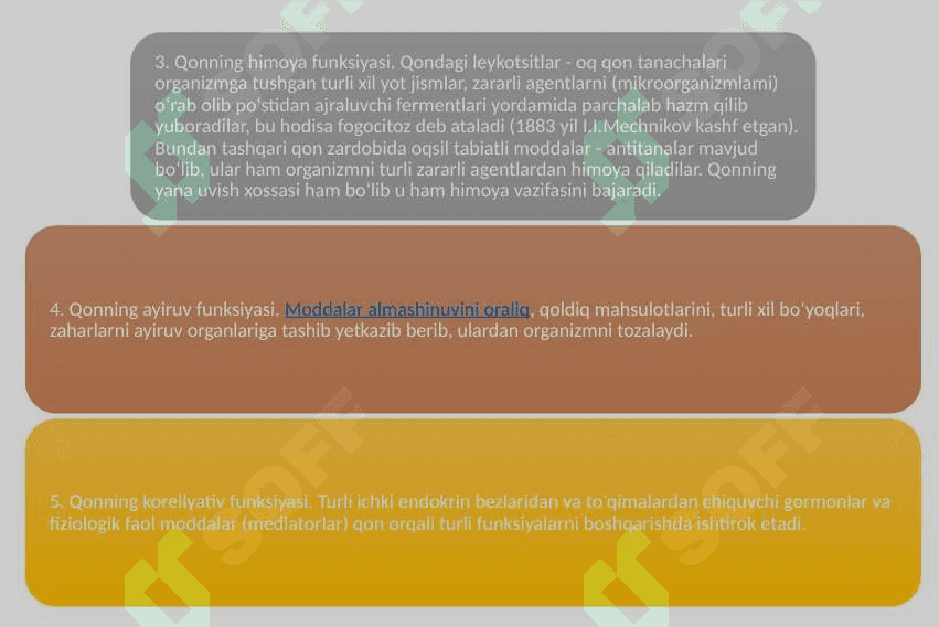 Qon tomirlar fiziologiyasi 6