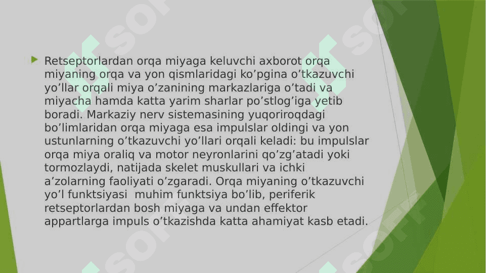 Orqa miya 4