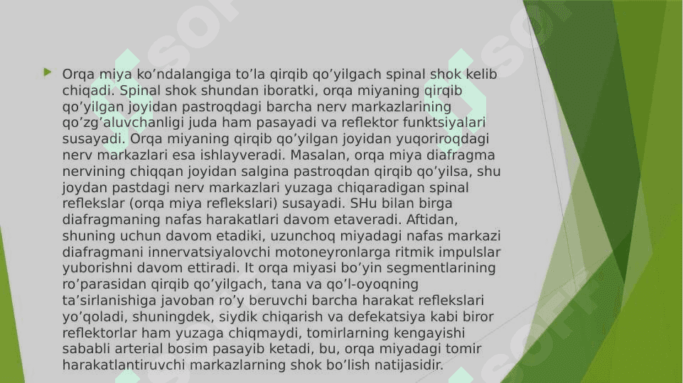 Orqa miya 7