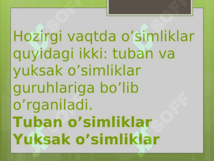 O’simliklar dunyosi evolyutsiyasi. 3