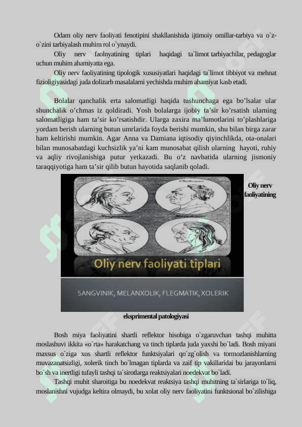 Oliy nerv faoliyati tiplari 6
