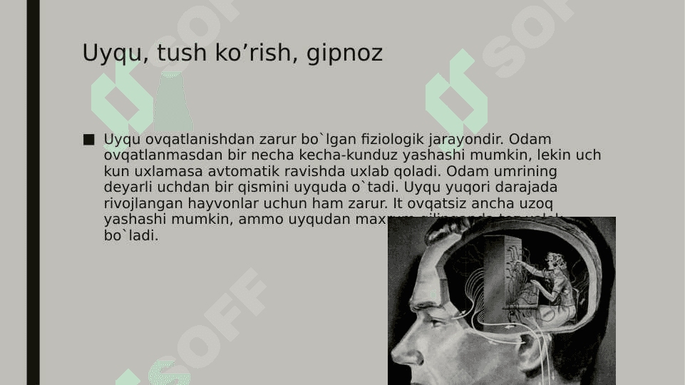 Oliy nerv faoliyatining tiplari. Bolalarda nervoz kasalliklari va ularning oldini olish 3