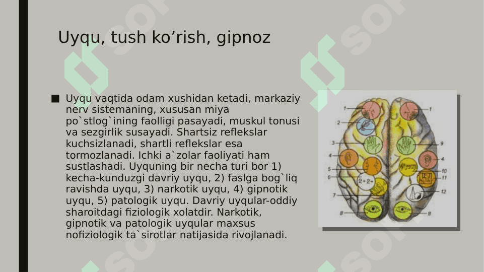 Oliy nerv faoliyatining tiplari. Bolalarda nervoz kasalliklari va ularning oldini olish 4