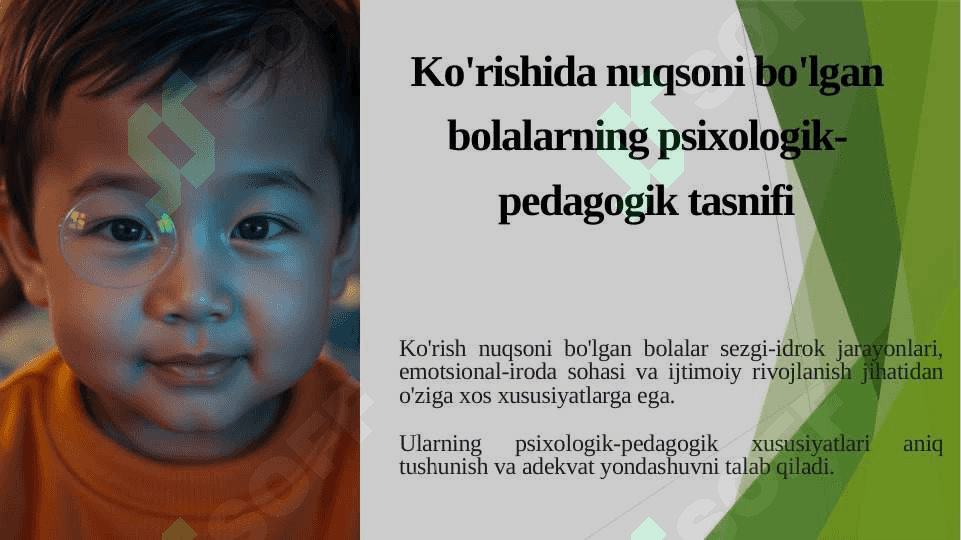 Ko‘rishida nuqsoni bo‘lgan bolalarning psixologik-pedagogik tasnifi. 2