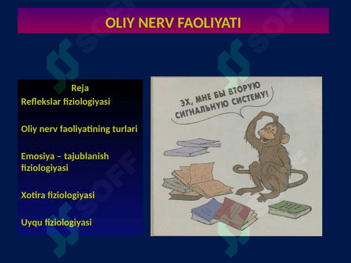 OLIY NERV FAOLIYATI 2