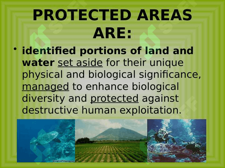 PROTECTED AREAS 3