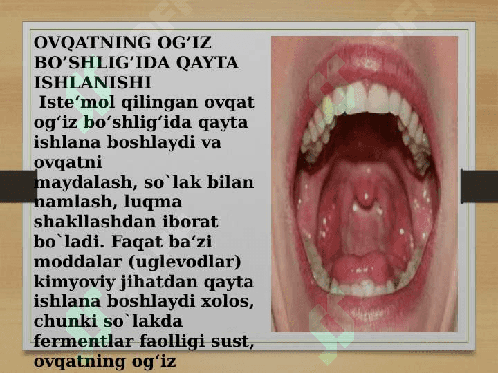 Hazm tizimi faoliyati. Oģiz bòshliģi va medada ovqat hazm bòlishi. 4