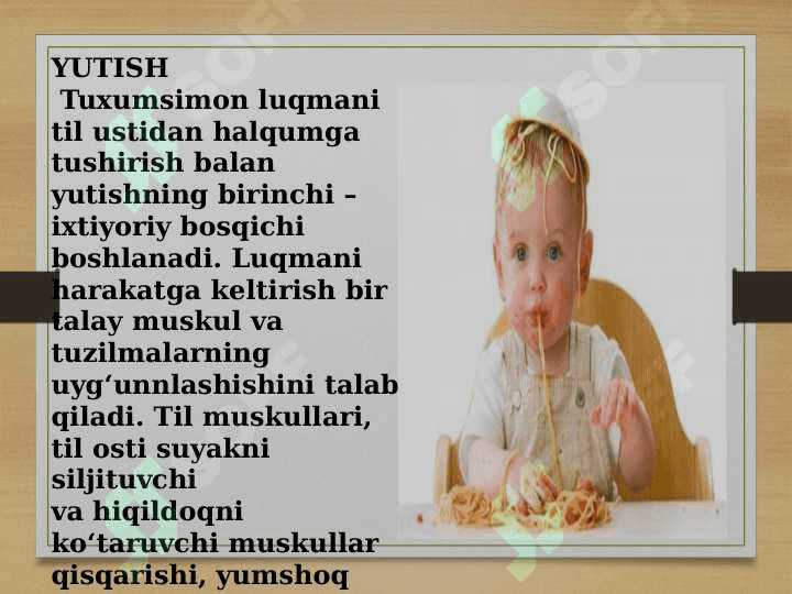 Hazm tizimi faoliyati. Oģiz bòshliģi va medada ovqat hazm bòlishi. 8