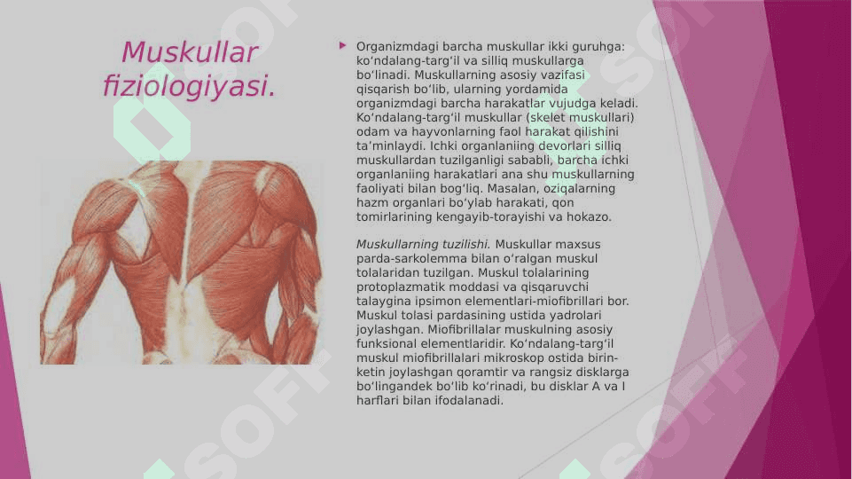 MUSKULLAR FAOLIYATI VA BOLANING JISMONIY IMKONIYATLARI 4