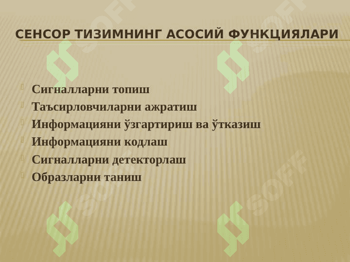 Организмнинг сенсор системаси 6