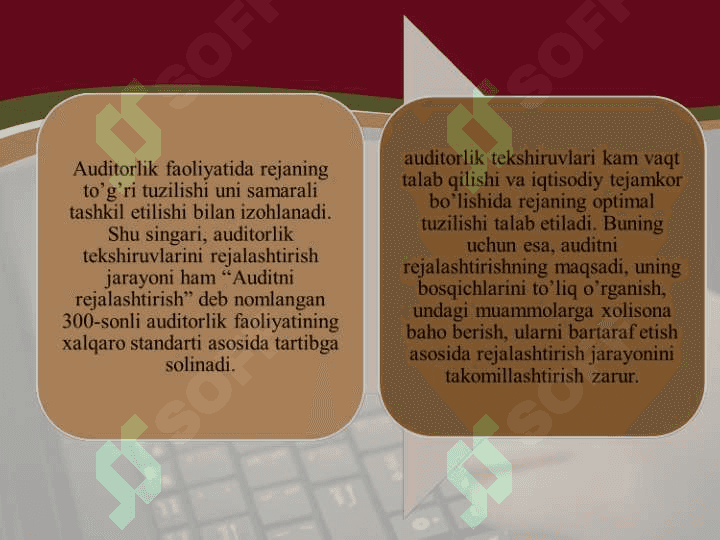 Auditorlik tekshiruvini rejalashtirish 6
