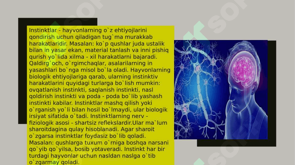 Psixikaning taraqqiyoti 7