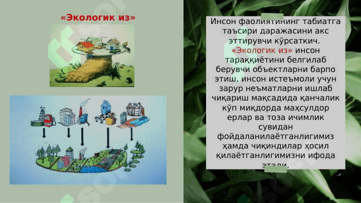 ЯШИЛ ИҚТИСОДИЁТ” КУРСИНИНГ ПРЕДМЕТИ ВА МЕТОДИ 6