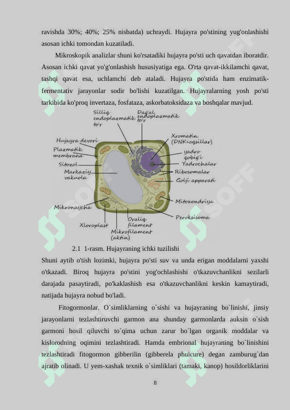 O’simlik hujayrasining tuzilishi . 8