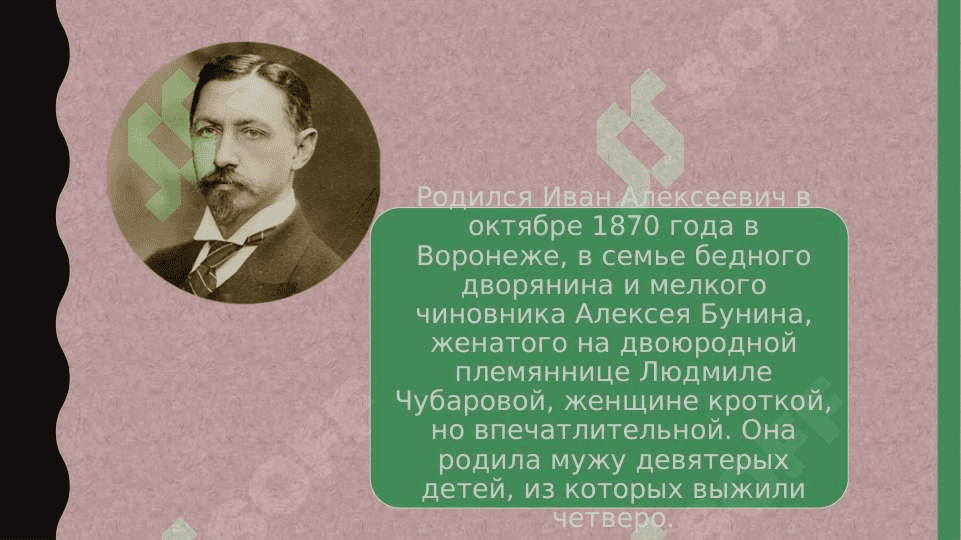 иван  алексеевич бунин «тень птитцы» 4