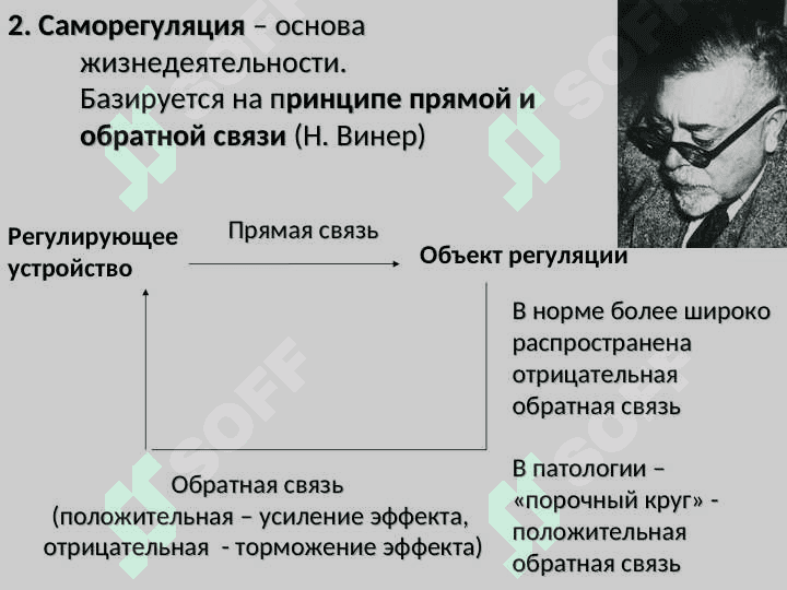 Введение в физиологию. Физиология клетки 7