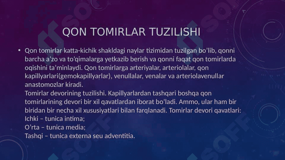 Tomirlar tonusining boshqarilishi 3