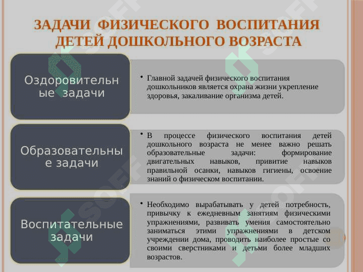 Физическое воспитание дошкольников 3