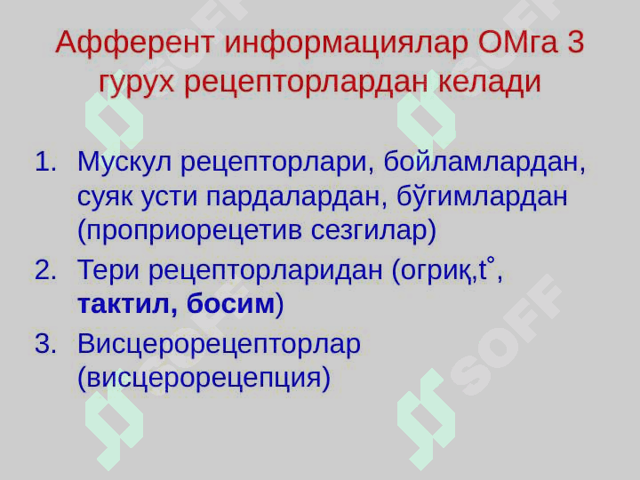 Asab markazlarining xossalari 4