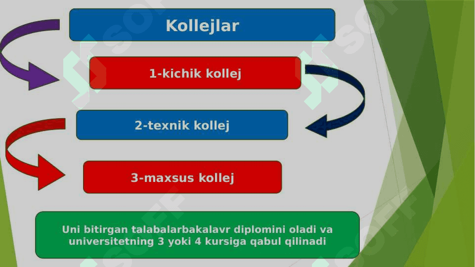 Rivojlangan davlatlarda milliy tarbiya dasturlari 8