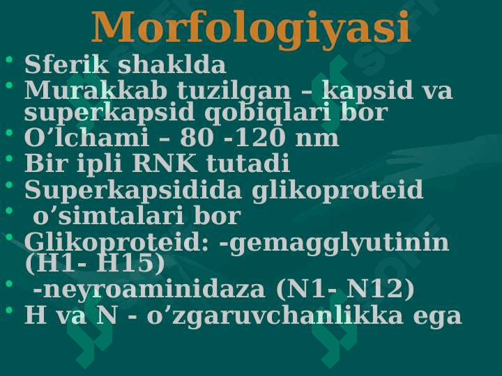 Virusli kasalliklar(Gripp, qizamiq). 6