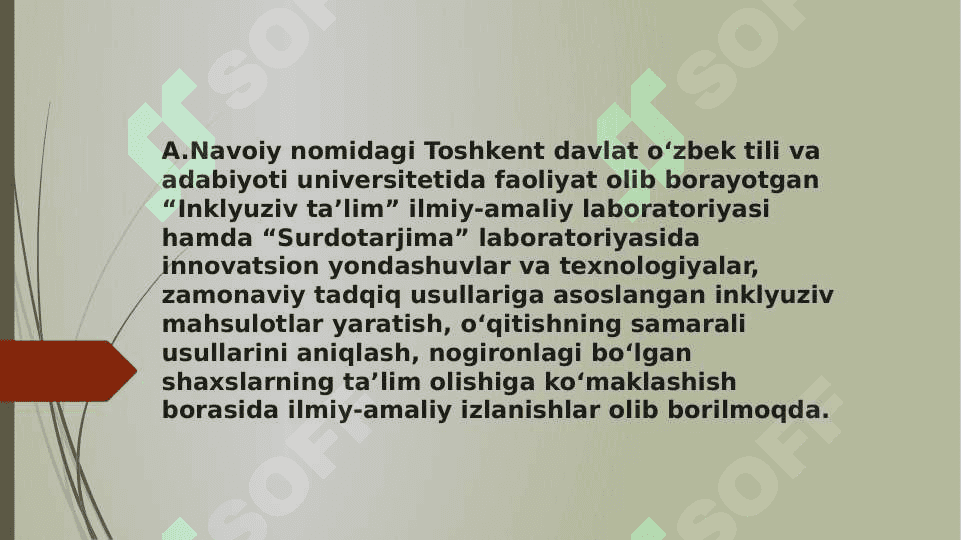 Inklyuziv ta’limga oid xorijiy tajribalar 3