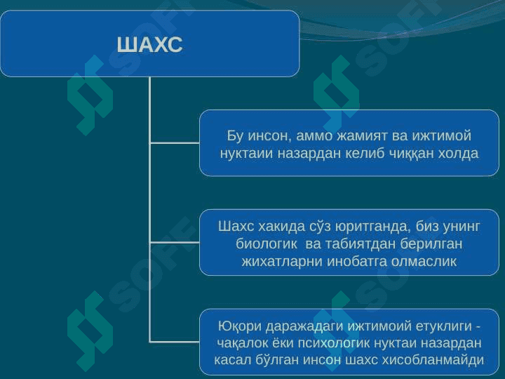 Shaxs strukturasi 3